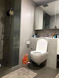 Eight Riversuites (D12), Condominium #632710321
